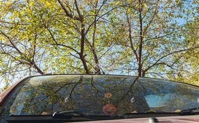Perché il parabrezza anteriore di un'auto è inclinato?