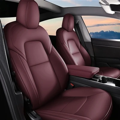 Giovane Persona's Prima Auto Maggio Be A Tesla